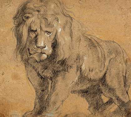狮子，1613年`Lion, 1613 by Peter Paul Rubens