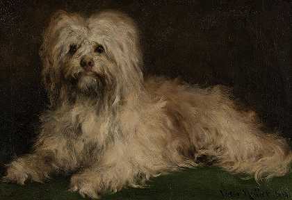 皮舍尔·普斯，1863年`Pinscher Puss, 1863 by Victor Muller