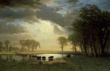 布法罗小径，1867年`The Buffalo Trail, 1867 by Albert Bierstadt
