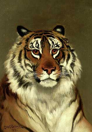 《老虎研究》，1919年`Study of a Tiger, 1919 by Charles Edwin Baldock