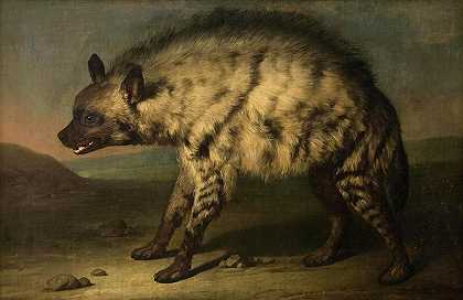 鬣狗`The Hyena by Jens Juel