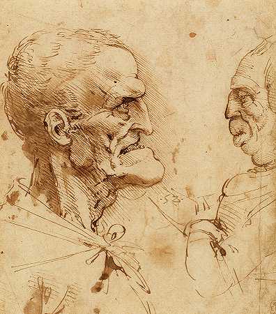两个奇怪的侧面`Two grotesque profiles confronted by Leonardo da Vinci