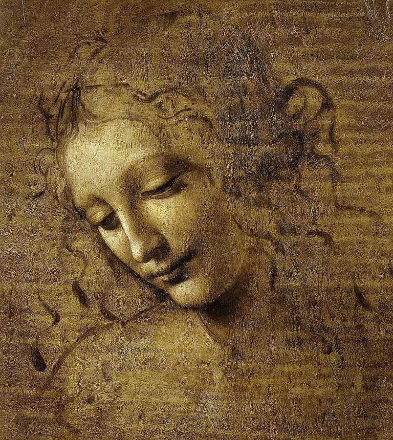 一个女人的头，1508年`Head of a Woman, 1508 by Leonardo da Vinci