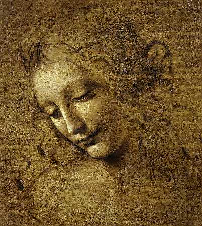 一个女人的头，1508年`Head of a Woman, 1508 by Leonardo da Vinci
