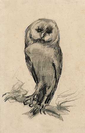 从前面看谷仓猫头鹰`Barn Owl Viewed from the Front by Vincent Van Gogh