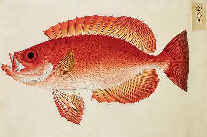 鱼`Fish by Kawahara Keiga