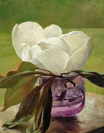 木兰花`Magnolia Blossom by John La Farge