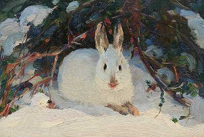 冬天的野兔`Hare in Winter by Clarence Gagnon