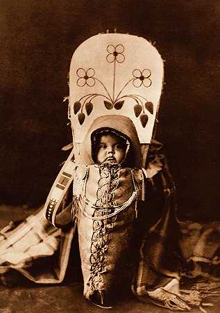 Nez Perce婴儿在摇篮板上`Nez Perce infant in Cradleboard by Edward Sheriff Curtis