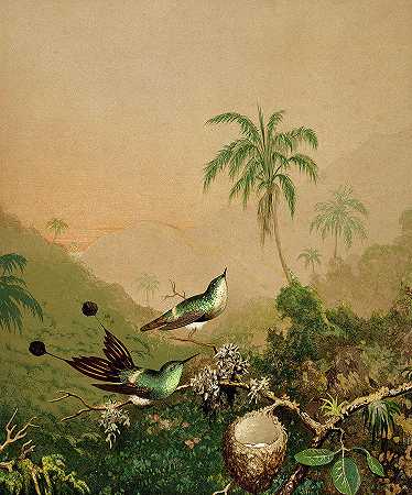 巴西蜂鸟II，1865年`Brazilian Hummingbirds II, 1865 by Martin Johnson Heade