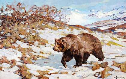 阿拉斯加棕熊`Alaskan Brown Bear by Carl Rungius