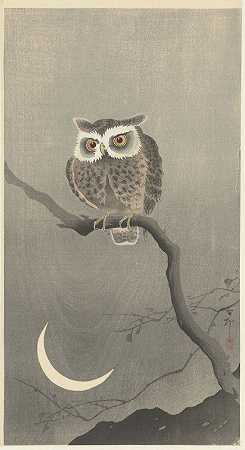 光秃秃树枝上的长耳猫头鹰`Long~eared owl on bare tree branch (1900 ~ 1930) by Ohara Koson