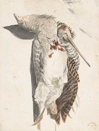 两只死鸟（一只鹌鹑和一只长喙鸟）`Two Dead Birds (A Quail and a Long~Beaked Bird) (1685–1755) by Count Giorgio Durante
