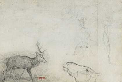 动物研究（verso）`Studies of Animals (verso) by Antoine-Louis Barye