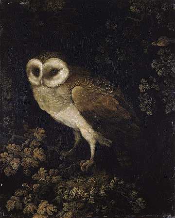 猫头鹰`An Owl (1780~1790) by Moses Haughton