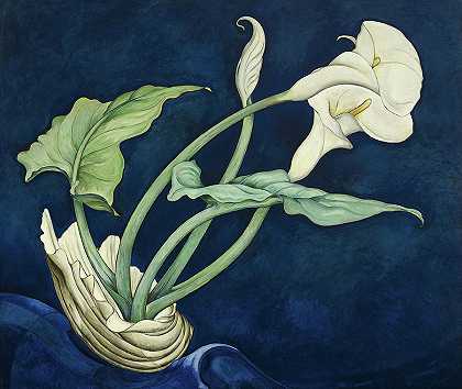马蹄莲，伯特·萨沃伊，1927年`Calla Lilies, Bert Savoy, 1927 by Charles Demuth