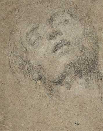 头部研究`Study of a Head (ca. 1508–18) by Giovanni Girolamo Savoldo
