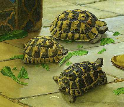 乌龟`Tortoises by Osman Hamdi Bey