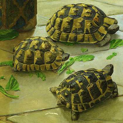 乌龟，1906年`Tortoises, 1906 by Osman Hamdi Bey