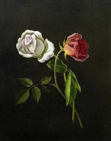 树枝上红白相间的玫瑰花蕾`Red and White Rosebuds on a Branch by Martin Johnson Heade
