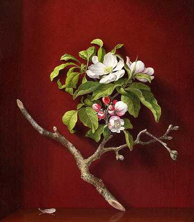 苹果在角落里开花`Apple Blossoms in a Corner by Martin Johnson Heade