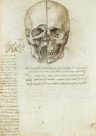 头骨和牙齿配方`Skull and Dental Formula by Leonardo da Vinci