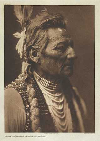 皮奥皮奥-马克斯马克，简介-瓦拉瓦拉，1905年`Piopio – Maksmaks, Profile – Wallawalla, 1905 by Edward Sheriff Curtis