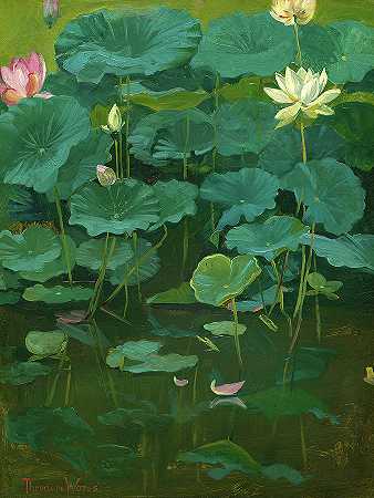 佛陀之花，莲花，东京`Buddha\’s Flowers, Lotus, Tokyo by Theodore Wores