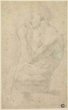 学术男性裸体`Academic Male Nude (c. 1570) by Circle of Agnolo Bronzino