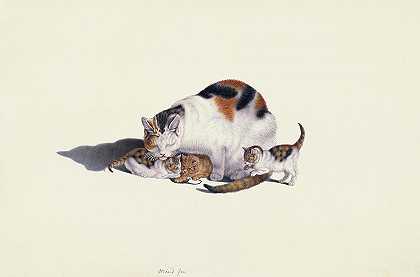 白猫和幼崽在玩老鼠`White Cat with Cubs playing with a Mouse by Gottfried Mind