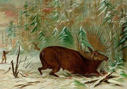 猎鹿`Moose Hunt by George Catlin