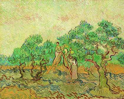 圣雷米橄榄园`The Olive Orchard, Saint-Remy by Vincent van Gogh