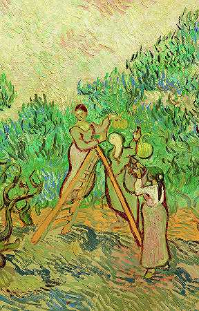 橄榄采摘者，1889年`The Olive Pickers, 1889 by Vincent van Gogh