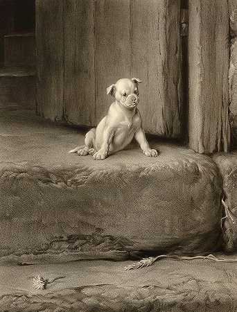 当心那只狗，一只斗牛犬`Beware of the Dog, A Bulldog Puppy by Briton Riviere