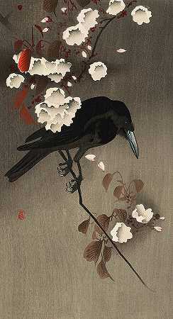 1910年，夜樱花上的乌鸦`Crow On Night Cherry, 1910 by Ohara Koson
