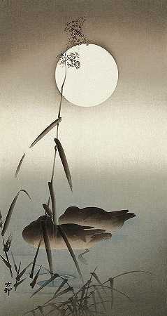 芦苇和满月之间水中的两只野鸭`Two Mallards in Water Between Reeds and a Full Moon by Ohara Koson