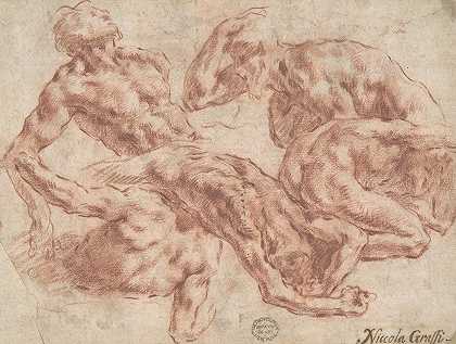 裸体男性研究`Studies of Nude Men (1682–1750) by Nicola Grassi