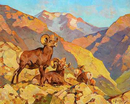 跑马地公羊`Happy Valley Rams by Carl Rungius
