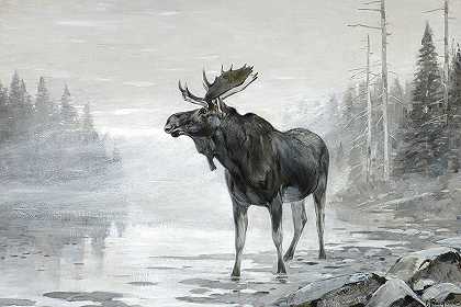 雾驼鹿`Misty Moose by Carl Rungius