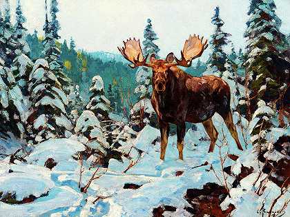 公驼鹿`Bull Moose by Carl Rungius