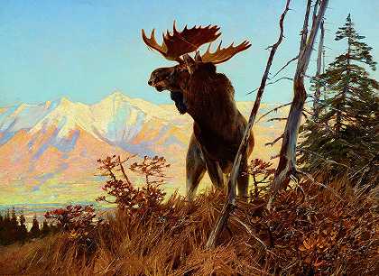 阿拉斯加驼鹿`Alaskan Moose by Carl Rungius