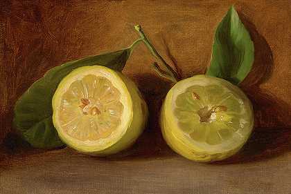 柠檬`Lemons by George Henry Hall