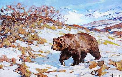 阿拉斯加棕熊，1918年`Alaskan Brown Bear, 1918 by Carl Rungius