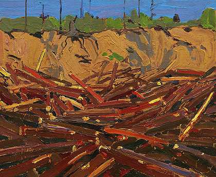 原木沙洲，1916年`Sandbank with Logs, 1916 by Tom Thomson