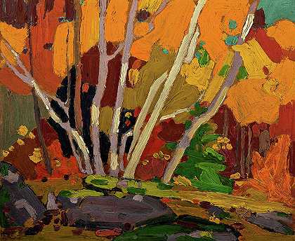 秋天的桦树，秋天`Autumn Birches, Fall by Tom Thomson