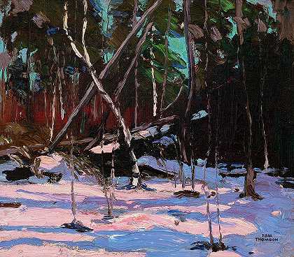 初雪，阿尔冈琴公园，1916年`Early Snow, Algonquin Park, 1916 by Tom Thomson