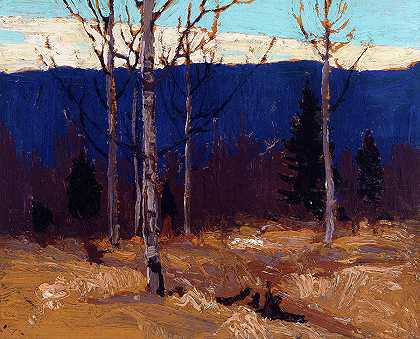 阿尔冈金公园大高雄湖山坡，1915年`Hillside on Big Cauchon Lake, Algonquin Park, 1915 by Tom Thomson