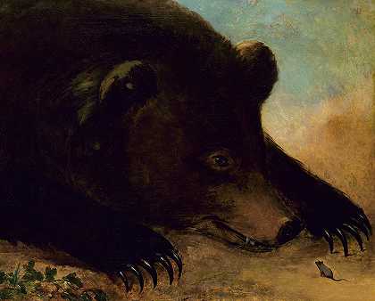 灰熊和老鼠的肖像`Portraits of a Grizzly Bear and Mouse by George Catlin