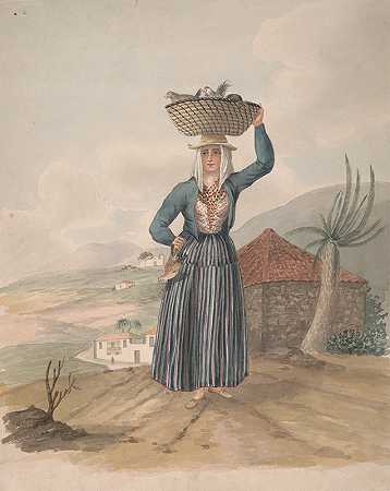 维多利亚女人，特内里费`Woman of Victoria, Tenerife (1828) by Alfred Diston