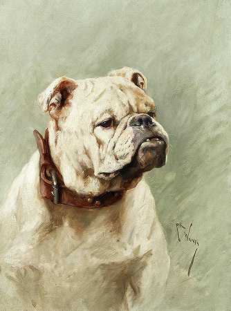 斗牛犬`Bulldog by Arthur Wardle